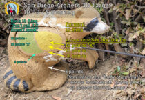 3D Target Scoring